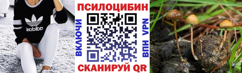 где продают   Черепаново  Галлюциногенные грибы мухоморы 